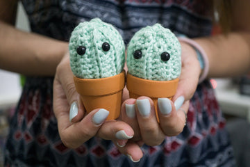 Thorny Cactus Amigurumi Pattern & Kit (Twin Pack)
